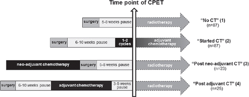 Figure 1. Stratification of study population with respect to breast cancer treatment at time point of cardiopulmonary exercise testing (CPET).