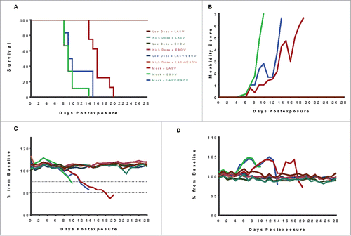 Figure 2. Outcomes of the primary vaccine study following exposure to 1000 PFU EBOV, 1000 PFU LASV, or 1000 PFU each of LASV and EBOV simultaneously. (A) All vaccinated guinea pigs survived, regardless of whether they received high (100 µg) or low dose (50 µg) multi-agent vaccine. The mock-vaccinated control groups succumbed in three distinct phases: in the typical window for EBOV (days 7–14), in the typical window for LASV (days 14–19) or an interim window. (B) Morbidity scores for mock-vaccinated guinea pigs increased as disease signs were observed until euthanasia criteria were met. None of the vaccinated GPs experienced observable disease signs after virus exposure. (C) Vaccinated guinea pigs maintained their body weights postexposure. In contrast, mock-vaccinated guinea pigs lost weight steadily, starting approximately 6 days postexposure and continuing to euthanasia. Dashed lines indicate 10% and 20% weightloss estimates. (D) Normal body temperature was maintained by all vaccinated guinea pigs while mock-vaccinated controls experienced a febrile state starting approximately day 5 postexposure in guinea pigs exposed to EBOV alone and EBOV + LASV, and starting approximately day 9 post exposure in guinea pigs exposed to LASV alone. The temporal development of fevers in the mock-vaccinated animals mimics the tri-phasic morbidity observed in the survival curve.