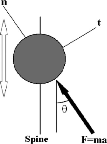 Figure 3. Free-body diagram of a sample ball on the duct wall.