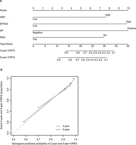 Figure 8 A nomogram to predict 2-year and 5-year IVRFS after surgery in patients with upper tract urothelial carcinoma (A). Calibration plots demonstrate virtually ideal predictions for 2-year and 5-year IVRFS (B).Abbreviations: IVRFS, intravesical recurrence-free survival; RNU, radical nephroureterectomy.