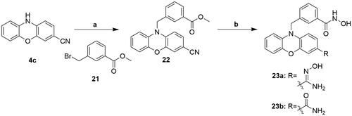 Scheme 6. Reagents and conditions: (a) NaH, DMF, RT; (b) i) THF-MeOH, 0 °C ; ii) 50%NH2OH(aq), NaOH, RT