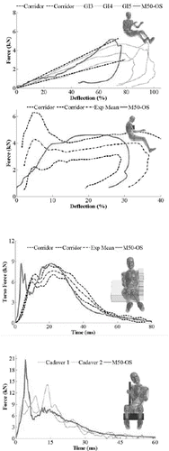 Fig. 4. Rigid impact results showing frontal (Hardy et al. Citation2001; Kroell et al. Citation1974) and lateral (Cavanaugh et al. Citation1990; Kemper et al. Citation2008) impacts to the chest and abdomen. Run time reductions are found in Table A2.