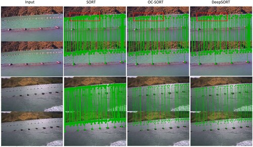 Figure 8. Matching results for buoys in two samples from distinct mussel farm environments using the SORT, OC-SORT, and DeepSORT tracking algorithms. The images presented above and below are two consecutive frames, forming a matching pair. The SORT algorithm frequently exhibits an overly dense matching line, attributed to distracting water reflections (e.g. the delineated area within the red box in the first illustration on the top row.). In contrast, OC-SORT and DeepSORT address this issue by incorporating more reliable appearance feature extraction.