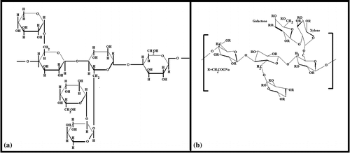 Figure 1. Chemical structures of (a) tamarind gum and (b) CMT gum.