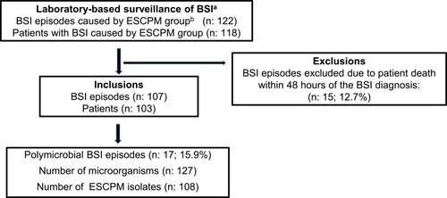 Figure 1 Description of the detection of the BSI episodes and patients selected to be included in the study.
