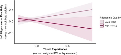 Figure 7. Exploratory average marginal effects in the interaction of threat experiences and friendship quality on left hippocampal reactivity to acute stress.Note. Friendship quality had a weak moderating effect on the relationship between threat experiences and left hippocampal reactivity to acute stress (p = .029), such that hippocampal reactivity increased with more negative threat experiences in participants reporting low friendship quality. However, this effect did not survive correction for multiple comparisons (pBonf = .145; corrected for five ROI comparisons). The lines show the estimated marginal means of threat experiences (x-axis; second weighted PC) on left hippocampal reactivity (y-axis; beta weights) at different values of friendship quality (−1SD = 24.31; +1SD = 31.05) with a pointwise 95% confidence interval, derived from a multiple linear regression model.