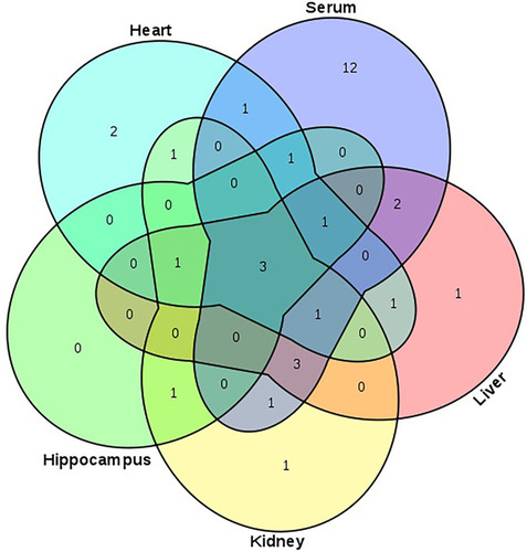 Figure 3 Venn diagram presenting the distribution of metabolites in serum, liver, kidney, hippocampus, and heart between the control and LPS groups.Note: The numbers in the Figure represent the same metabolites among different matrices (serum, liver, kidney, hippocampus, or heart).