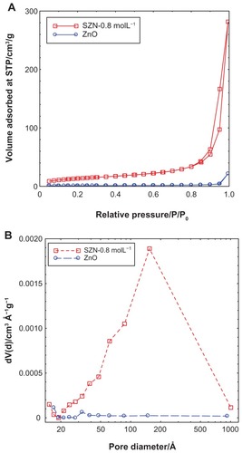 Figure 5 Adsorption-desorption isotherms (A) and Barrett-Joyner-Halenda pore size distribution (B) for ZnO and SZN 0.8 mol/L.Abbreviations: ZnO, zinc oxide; SZN, salicylate-zinc layered hydroxide nanohybrid.