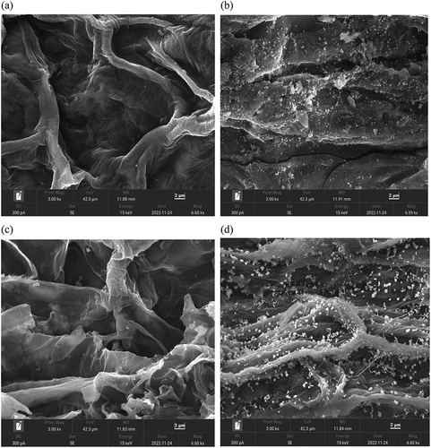 Figure 3. (Continued)