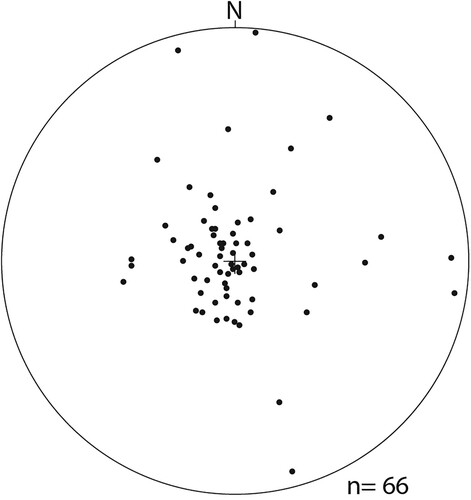 Figure 4. Lower hemisphere stereonet plot of poles to bedding planes in the Waitematā Group in regions analysed in this study. The majority of beds are gently dipping, with occasional tilted, steeply dipping beds. All bedding data can be found in Supplementary Table S3.