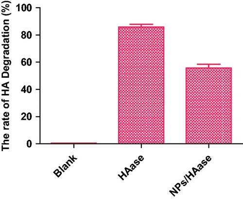 Figure 8. The results of HA degradation rate of HA, HAase, NPs/HAase.