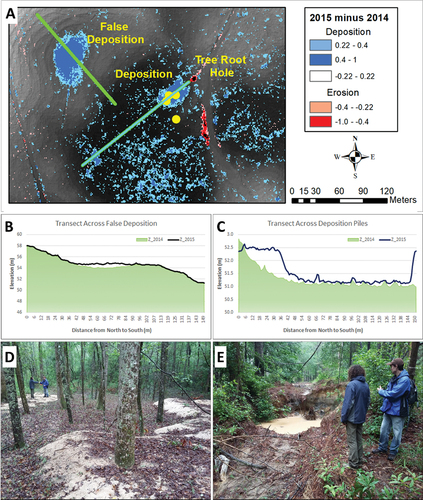 Figure 10. Profiles across false deposition and actual depositions and location of validation points in yellow (A), transect across false deposition (B), transect across deposition piles (C), deposition area up to 1.17 m in thickness (D), and actual erosion (i.e. tree root hole) (E) in Bee Branch area.