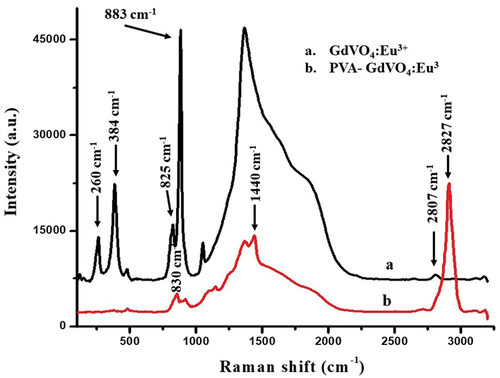 Figure 3. Raman spectroscopy of (a) GdVO4:Eu3+ and (b) PVA-GdVO4:Eu3+.