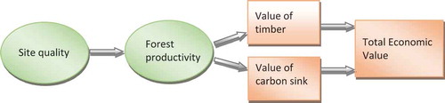 Figure 1. Conceptual approach for calculating the economic value of site quality in forest.