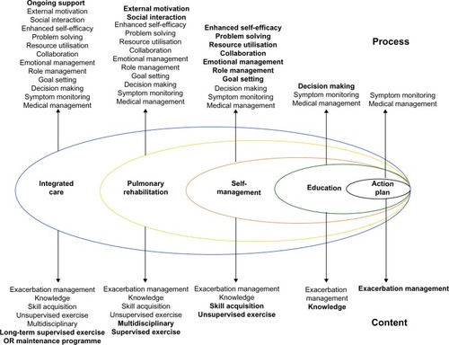 Figure 2 “A spectrum of support for chronic obstructive pulmonary disease (COPD)”.