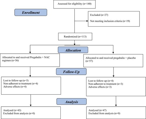 Figure 1 The flow diagram of the study.