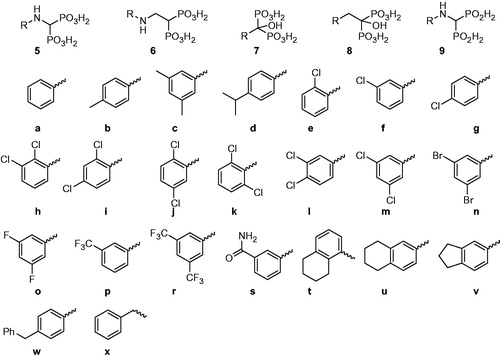 Figure 3. Scaffolds and range of substituents tested against Mycobacterium tuberculosis GS.