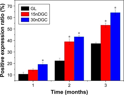 Figure 10 Quantitative analysis of the positive expression ratio of type I collagen after GL, 15nDGC and 30nDGC scaffolds implanted into femoral defects of rabbits for 1, 2 and 3 months, *p<0.05.Abbreviation: GL, gliadin.