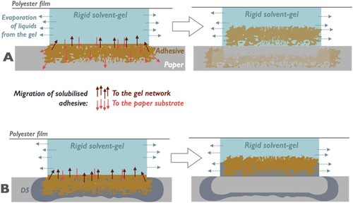 Figure 3. Influence of pre-treatment using D5 on liquid migration during gel application on paper. In A, direct application of solvent-gel on the porous paper network results in partial cleaning and migration of residual adhesive in the paper. In B, the pre-treatment with D5 to saturate the paper’s porous network favours migration of solubilized matters towards the gel, resulting in better cleaning of the paper surface.