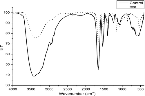 Figure 6. FTIR spectra of native lysozyme and AgNP interacted lysozyme.