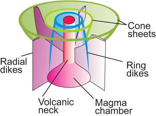 Figure 14. Schematic three-dimensional presentation of relationship between magmatic chamber, ring dikes, radial dikes, cone sheets, and volcanic neck of a carbonatite complex.