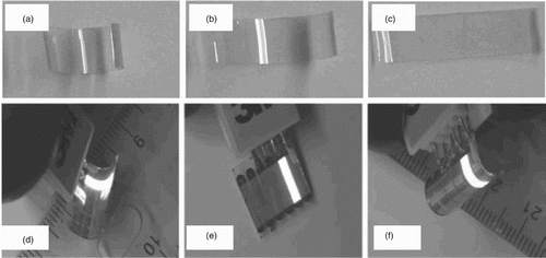 Figure 4. Photographs of the shape memory property of the Ag NW/polyacrylate film and the PLEDs. (a) Curved Ag NW/polyacrylate film. (b) Intermediate relaxation state at 120°C. (c) Recovered film. (d) Bent PLEDs. (e) Recovered shape after annealing at 120°C. (f) Bent in the direction opposite (d). [Reprinted from Yu et al. [Citation39], © 2011, with permission from Wiley-VCH]