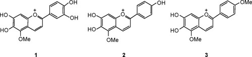 Figure 1 Chemical structure of 3-deoxyanthocyanidins: pigment 1 (6,7,3′,4′-tetrahydroxy-5-methoxyflavylium), pigment 2 (6,7,4′-trihydroxy-5-methoxyflavylium), and pigment 3 (carajurin).