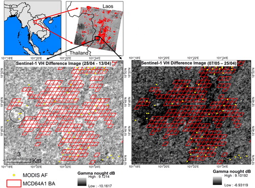 Figure 6. MODIS collection six active fires and burned areas for April 2016 overlaid on a difference image of 100 m Sentinel-1 VH gamma-nought dB backscatter (25 April – 13 April). This example area was mostly subject to burning between this date range. The high decrease in backscatter between the two dates is evident in most of the burn pixels. It also appears that some BA’s may have been missed (area circled). Imagery after the fires, shows an increase in backscatter following fire recovery and management practices.