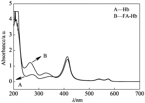 Figure 4. UV-Vis wavelength scanning of Hb (line A) and FA-Hb (line B).