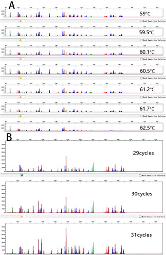 Figure 5. DNA profiles obtained from Canine 25 A kit at different PCR conditions: A) annealing temperatures and B) cycle numbers.