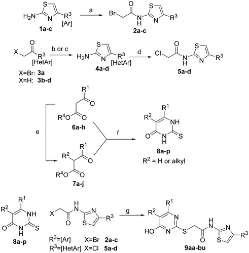 Scheme 1. Synthesis of 4-aryl/heteroaryl-2-aminothiazole inhibitor candidates. Reagents and conditions: (a) bromoacetyl bromide, Et3N, DCM, 0 °C; (b) for bromoketone 6a: thiourea, THF, 50 °C; (c) for methyl ketones 6b–d: CuBr2, EtOAc, 100 °C; then thiourea 100 °C; (d) bromoacetic acid, EDCI HCl, cat. 4-DMAP, DCE:DMF (1:1), 100 °C; (e) R-X, base, DMF, 60 °C or MW 110 °C (see experimental); (f) Na/EtOH, thiourea, 100 °C; (g) K3PO4-H2O, DMF. For chloroacetamides (X = Cl), NaI was added to facilitate substitution.