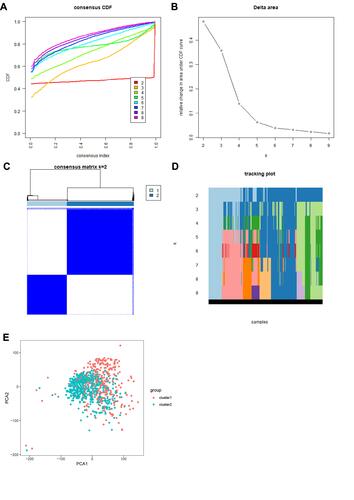 Figure 2 Consensus clustering analysis of RCC cases. (A) CDF curves for k=2–9. (B) Relative change in the area under the CDF curves for k=2–9. (C) Consensus matrix for k=2. (D). Tracking plot of cases for k=2–9. (E). Principal component analysis plot based on the RNA expression profiles of the 13 major m6A regulators, which grouped the cases into two clusters. Red: cluster 1; blue: cluster 2.