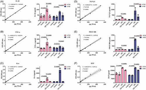 Figure 4. Effects of Isorhy on the expression levels of selective biomarkers in the bronchoalveolar lavage fluid samples of mice with silicon dioxide-induced pulmonary fibrosis. (A–E) ELISA for interleukin (IL)-1β, tumour necrosis factor (TNF)-α, interleukin (IL)-6, platelet-derived growth factor (PDGF)-BB and transforming growth factor (TGF)-β1 standard curve and quantification, respectively, in bronchoalveolar lavage fluid collected 14 and 42 days after intranasal inoculation. (F) ELISA for HYP assay to quantify standard curve and collagen content in the lungs of mice 14 and 42 days after intranasal inoculation. Data presented are mean ± SEM of five mice per group.