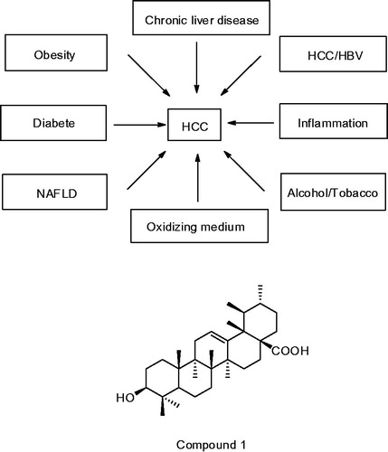 Figure 1. The possible cause of liver cancer and the structure of compound 1.