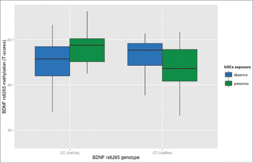 Figure 2. Relationship between methylation of BDNF rs6265 in PBMCs and hOCs exposure in healthy humans. Boxplot of rs6265 methylation (T scores) as a function of hOCs exposure: Val/Val homozygotes (N = 110) exposed to hOCs have greater methylation compared with ValVal not exposed, while Val/Met subjects (N = 59) exposed have reduced methylation compared with ValMet not exposed. See text and Supplemental file 1 for statistics.