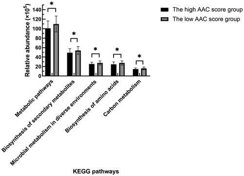 Figure 7. Comparison of functional predictions for the fecal microbiome between the high and low AAC score groups in HD patients by PICRUSt analysis at KEGG level 3 based on 16S sequencing data. AAC: abdominal aortic calcification; HD: hemodialysis; PICRUSt: phylogenetic investigation of communities by reconstruction of unobserved states; KEGG: Kyoto Encyclopedia of Genes and Genomes. *p < 0.05.