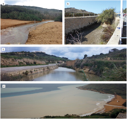 Figure 4. Ramla Wied during different periods: (a) and (c) the temporary stream is full after an intense rainy period (November 2017); (b) the valley is dry (September 2017) and hosts sediments and vegetation and a succession of alluvial sediments is observable on a side of the small fluvial scarp. In frame (d) Ramla Bay (seen from the north) during a flash flood occurred on 15 November 2012; the abundance of transported sediment is noticeable.