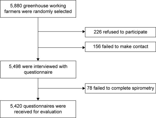 Figure 1 Responses to the questionnaire and spirometry.