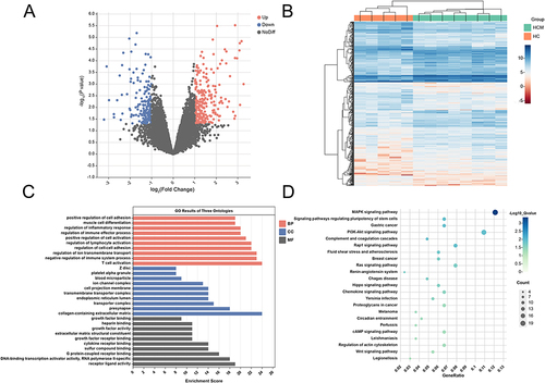 Figure 2 Screening and biological function analysis of differentially expressed genes between HCM and healthy controls. (A) Volcano plots of differentially expressed genes between control and HCM groups, red nodes indicate upregulation, blue nodes indicate downregulation and gray nodes indicate no significant differences. (B) The heatmap of differentially expressed genes between the control and HCM groups. (C) Analysis of differential gene GO enrichment in HCM. (D) Enrichment analysis of the differential gene KEGG signaling pathway in HCM.