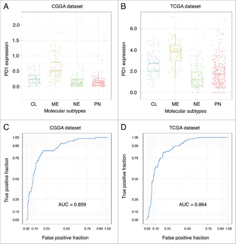 Figure 2. PD-1 expression in different molecular subtypes of TCGA transcriptional classification scheme in CGGA (A) and TCGA (B) datasets. ROC curves of PD-1 expression to predict mesenchymal subtype in CGGA (C) and TCGA (D) datasets.