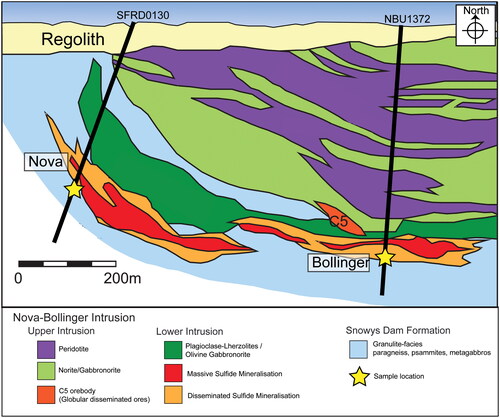 Figure 2. Schematic cross-section of the Nova-Bollinger intrusive complex, showing the upper and lower intrusion, and the Nova, Bollinger and C5 orebodies. Schematic drill-core sample positions for SFRD0130 and NBU1372 are illustrated in yellow stars. Adapted from Taranovic et al. (Citation2022).