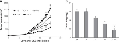 Figure 6 Anticancer activity in vivo. A C57BL/6J mouse tumor model was established by subcutaneous injection with LL/2 cells. Mice were treated with normal saline (NS), MPEG-PCL (M) micelles, Cur/MPEG-PCL (Cur) micelles (curcumin 5 mg/kg), Dox/MPEG-PCL (Dox) micelles (doxorubicin 5 mg/kg), Cur-Dox/MPEG-PCL (C + D) micelles (curcumin and doxorubicin 5 mg/kg), respectively. A statistically significant difference was found in tumor volume (*P < 0.05) between the Cur-Dox/MPEG-PCL group and other treatments alone (A); the same result was found for tumor weights (B). Points, mean (n = 8); bars, standard deviation.Abbreviations: Cur, curcumin; Dox, doxorubicin; MPEG, methoxy poly(ethylene glycol); PCL, poly(caprolactone).