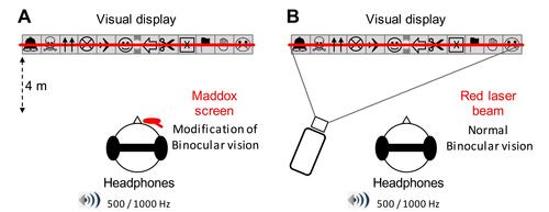 Figure 1 Schematic representation of the experimental set-up. (A) With the Maddox rod. The participants stood upright in front of the visual display, which was at the same height as the eyes’ participants. Here, the Maddox screen is represented over the subject’s right eye (see Experimental procedure and film for details). The participants wore headphones that delivered sounds of 500 or 1000 Hz (series of 500 ms “beep”). During the trials, the subject had to fixate with both eyes on a small light located at the exact center of the visual display. Top: detailed representation of the visual display. Six eight-centimeter-high drawings, easy for the children to identify, are placed on each side of the visual display (the light always appeared in the center gray zone). Bottom: when the Maddox screen is placed in front of one of the two eyes, the subject sees a combination of the vision of the non-occluded eye (light point in the center and 12 pictures) and of the other eye (a red horizontal line that goes through the light). Each of the two eyes thus sees a different image of the light, binocular fusion is modified. The subject fixates with both eyes on a light located in the center of 12, easily recognized, images. (B) With red laser beam. Here the red line is produced by a laser beam projected through the center of this light. Because both eyes see the same image, there is no change in binocular vision.
