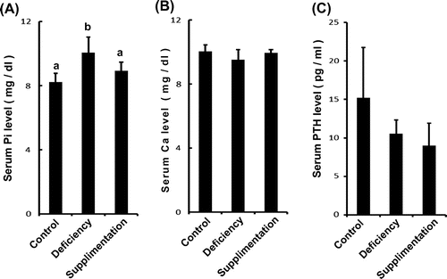 Fig. 2. Serum Pi levels change in vitamin B12-deficient rats but not Ca and PTH levels.