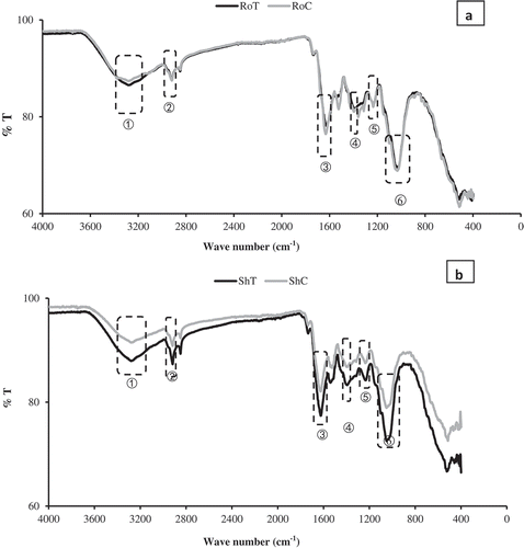 Figure 4. FTIR spectra of Prosopis juliflora (a) FTIR spectra of 50 mg/L Pb treatment in the root (RoT) and untreated root (RoC); (1) 3282.92, 3283.72 (2) 2919.03, 2919.44 cm−1 (3) 1624.16, 1632.85 cm−1 (4) 1388.13, 360.60 cm−1 (5) 1234.81, 1235.69 cm−1 and (6) 1031.98, 1034.35 cm−1. (b) FTIR spectra of 50 mg/L Pb (ShT) and untreated shoot (ShC); (1) 3279.89, 3281.03 cm−1 (2) 2918.57, 2918.59 cm−1 (3) 1625.72, 626.39 cm−1 (4) 1394.90, 1395.49 cm−1 (5) 1234.78, 1236.38 cm−1 and (6) 1050.10, 1051.35 cm−1.