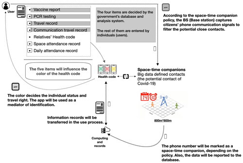 Figure 3. Health code and space–time companion structure.