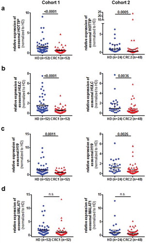 Figure 2. Expression analysis of exosomal long non-coding RNAs H19 (A), HOTTIP (B), HULC (C) and MALAT1 (D) in two independent cohorts (cohort 1, left panels, cohort 2, right panels) in specimens from healthy control (HC) and patients with colorectal cancer (CRC). Expression level is indicated by the normalized Ct-values