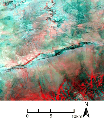 Figure 1. False color images of ASTER data.