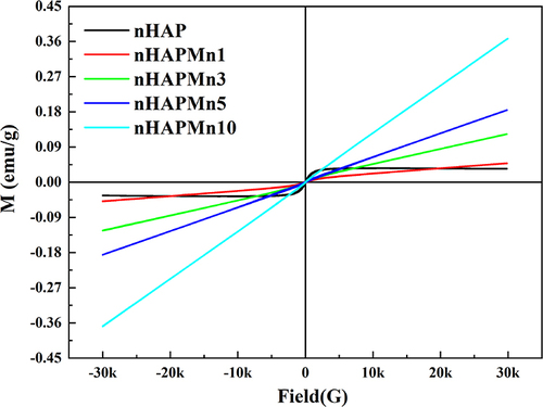 Figure 9 Magnetization curves of nHAP and nHAPMn powders measured at room temperature.