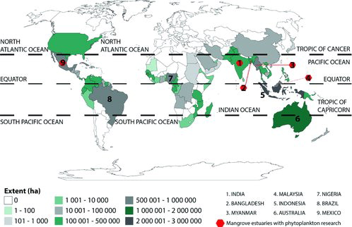 Figure 1. Map showing some major tropical countries with mangrove and reported research on phytoplankton in mangrove estuaries (modified from FAO Citation2005).